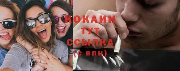 МДПВ Абаза