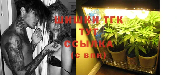 МДПВ Абаза
