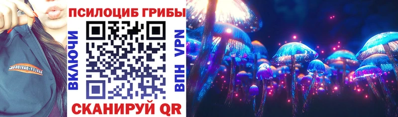 Галлюциногенные грибы Cubensis  цена   Красково 
